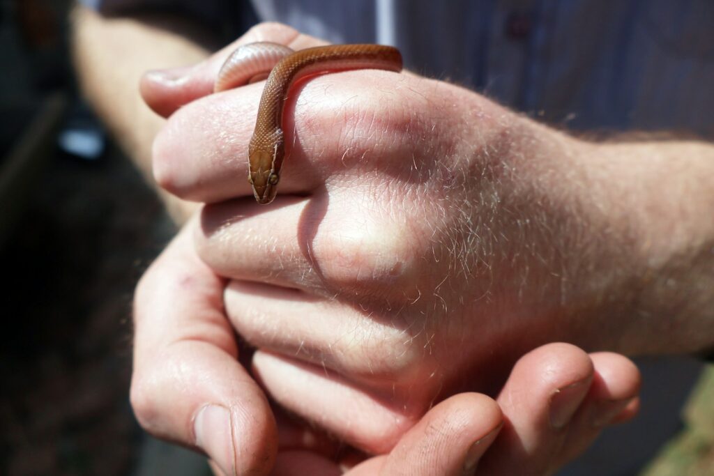 A close up of a person holding something in their hands