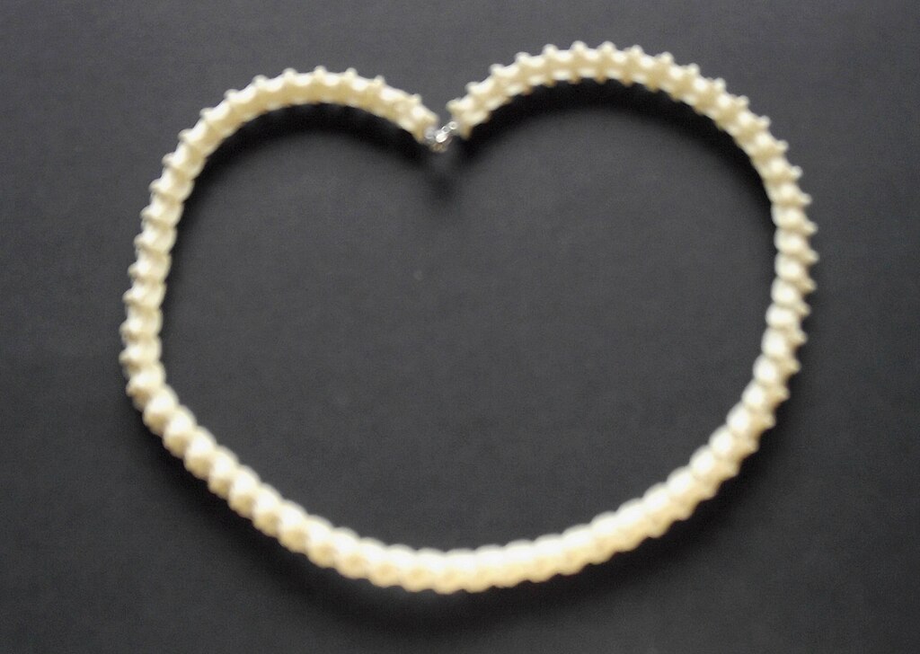 Snake_Bone_Necklace