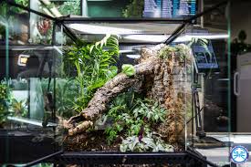 Custom Terrarium builds- Roonami